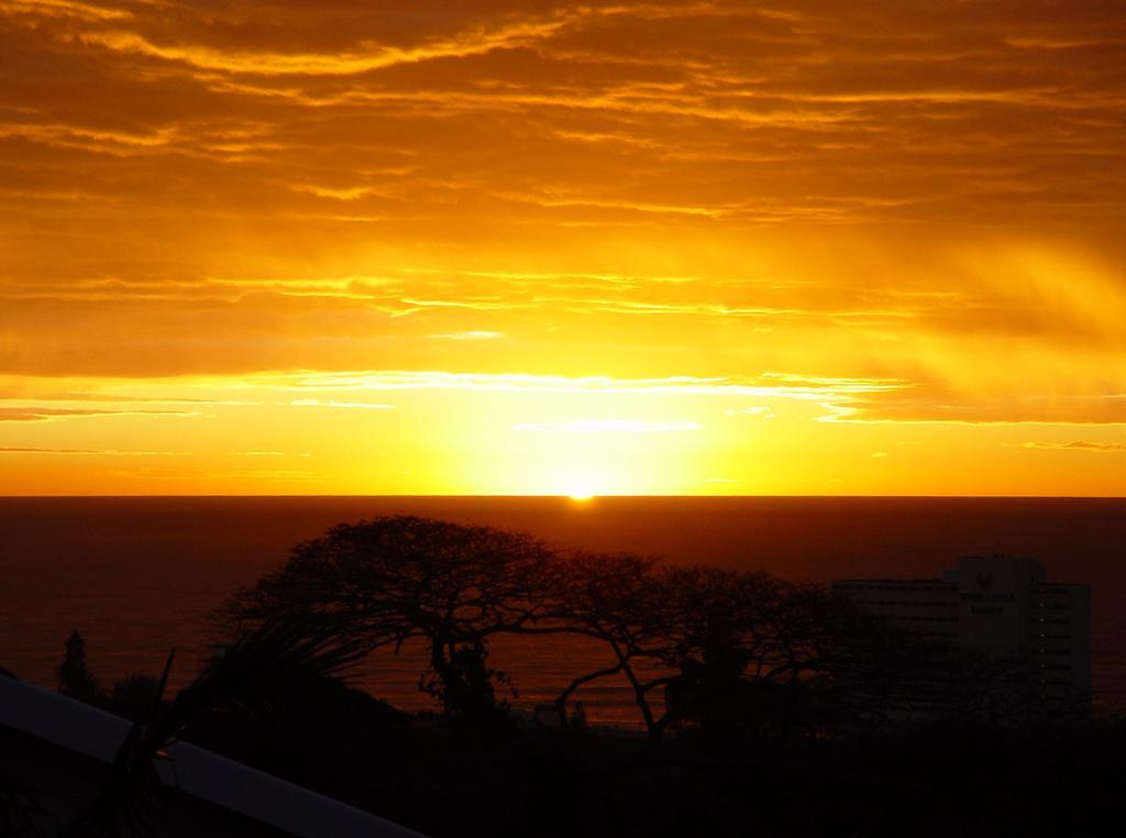 Umbrella Tree B&B Durban Exterior photo