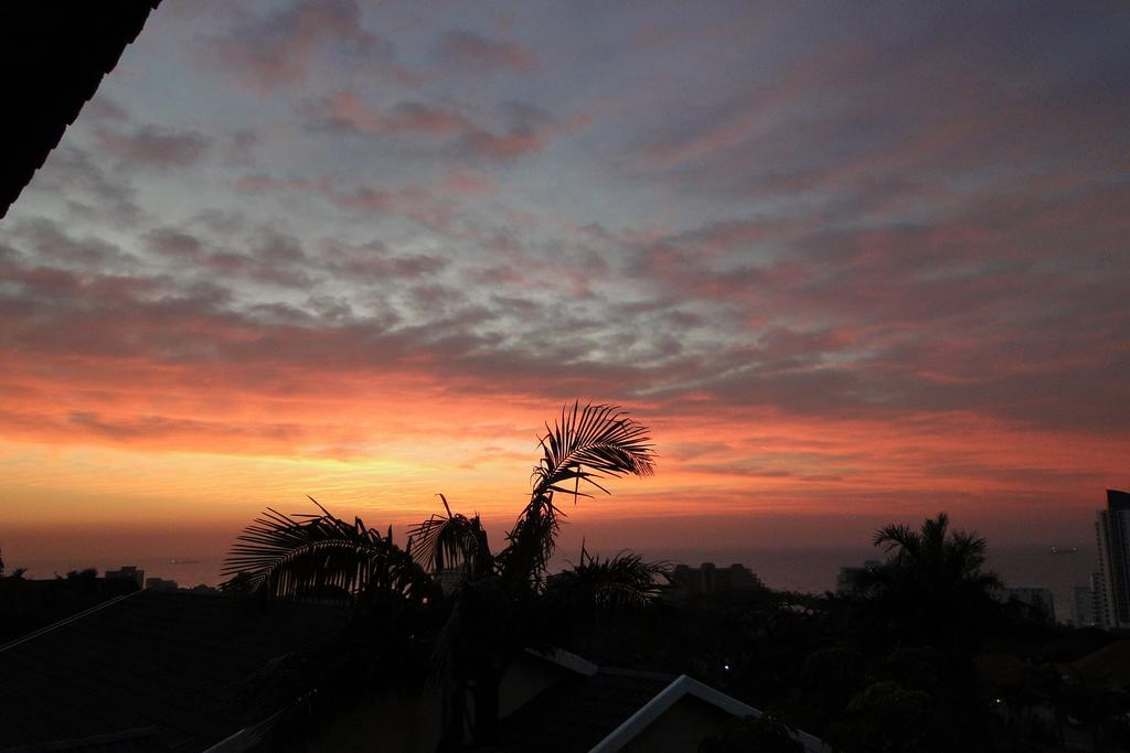 Umbrella Tree B&B Durban Exterior photo